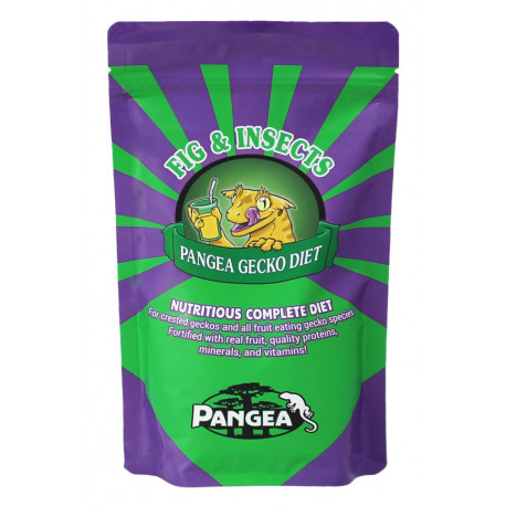 Feigen & Insekten - Pangea Gecko Diet