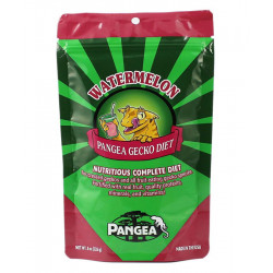 Wassermelone - Pangea Gecko Diet